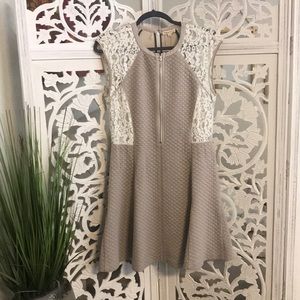 NWT Rebecca Taylor dress